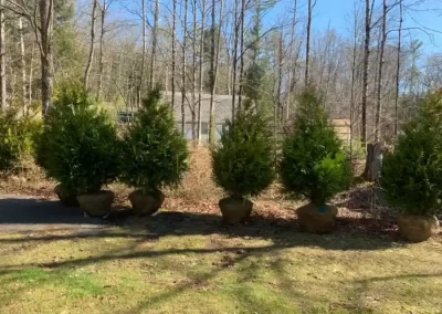 Excavating Contractors