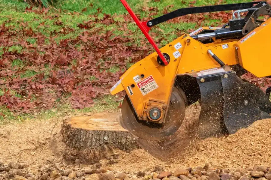 Local Stump Grinding Accord, NY