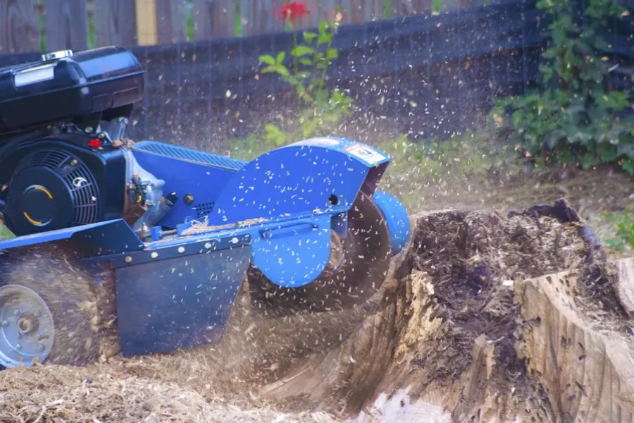 Reputable Stump Grinding Accord, NY